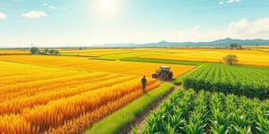 Feeding the World: Economic Impact of Agribusiness