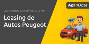 Leasing de Autos Peugeot: Guía Completa para Obtener tu Coche