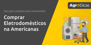 Comprar Eletrodomésticos na Americanas: Seu Guia Completo para Economizar