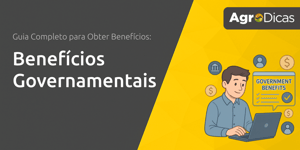Benefícios Governamentais: Guia Completo para Obter Benefícios