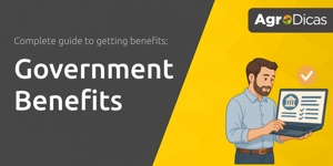 Government Benefits: Complete Guide to Getting Benefits