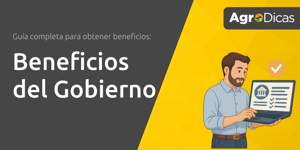 Beneficios del Gobierno: Guía Completa Para Obtener Beneficios