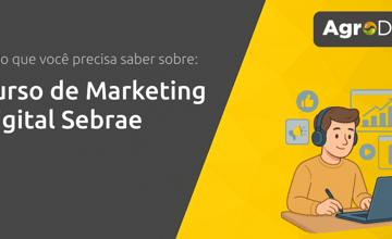 Curso de Marketing Digital Sebrae: Tudo que Você Precisa Saber