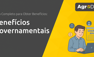Benefícios Governamentais: Guia Completo para Obter Benefícios