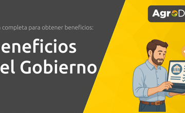 Beneficios del Gobierno: Guía Completa Para Obtener Beneficios