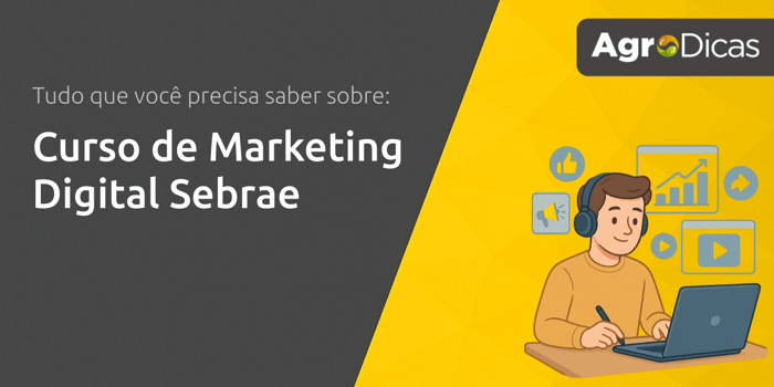 Curso de Marketing Digital Sebrae: Tudo que Você Precisa Saber