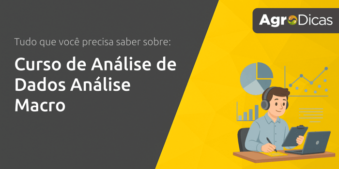Curso de Análise de Dados Análise Macro: Tudo que Você Precisa Saber